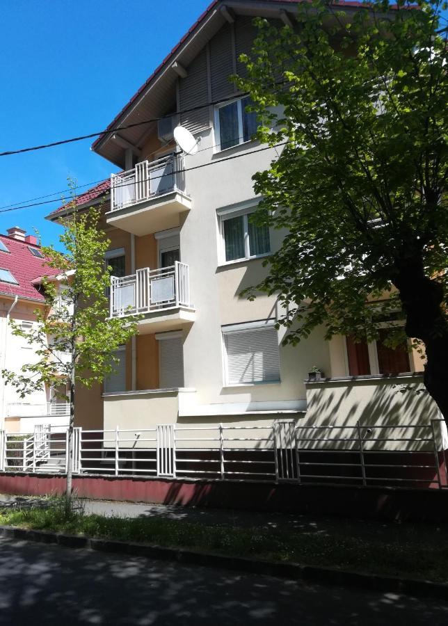 Heviz Lake Apartman エクステリア 写真
